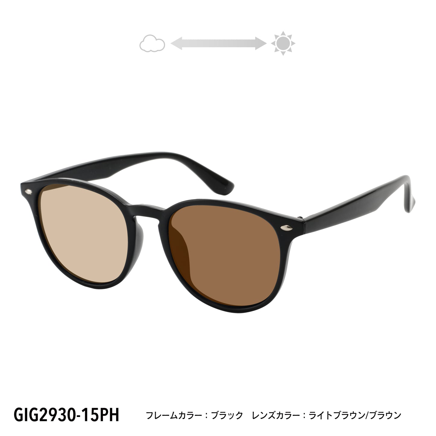 GIG2930-12PH/15PH(調光偏光機能付き)
