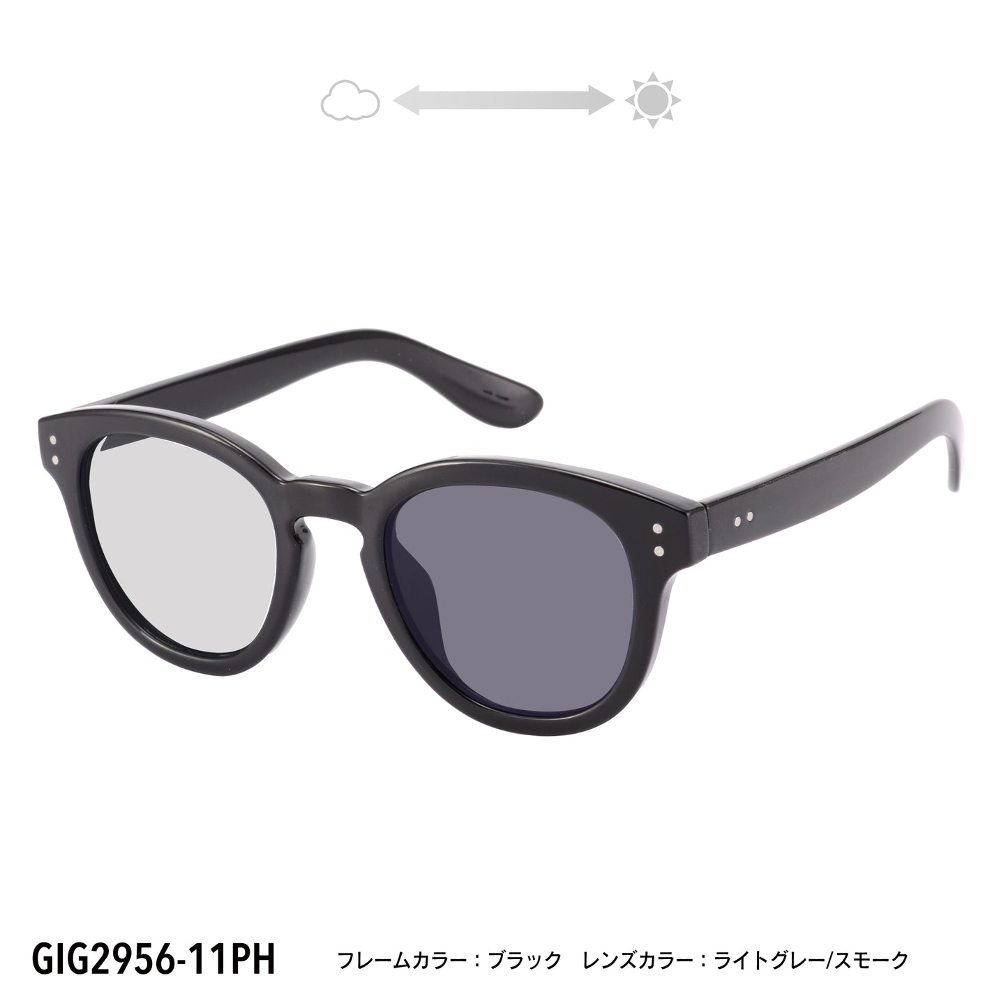 GIG2956-11PH/13PH(調光偏光機能付き)