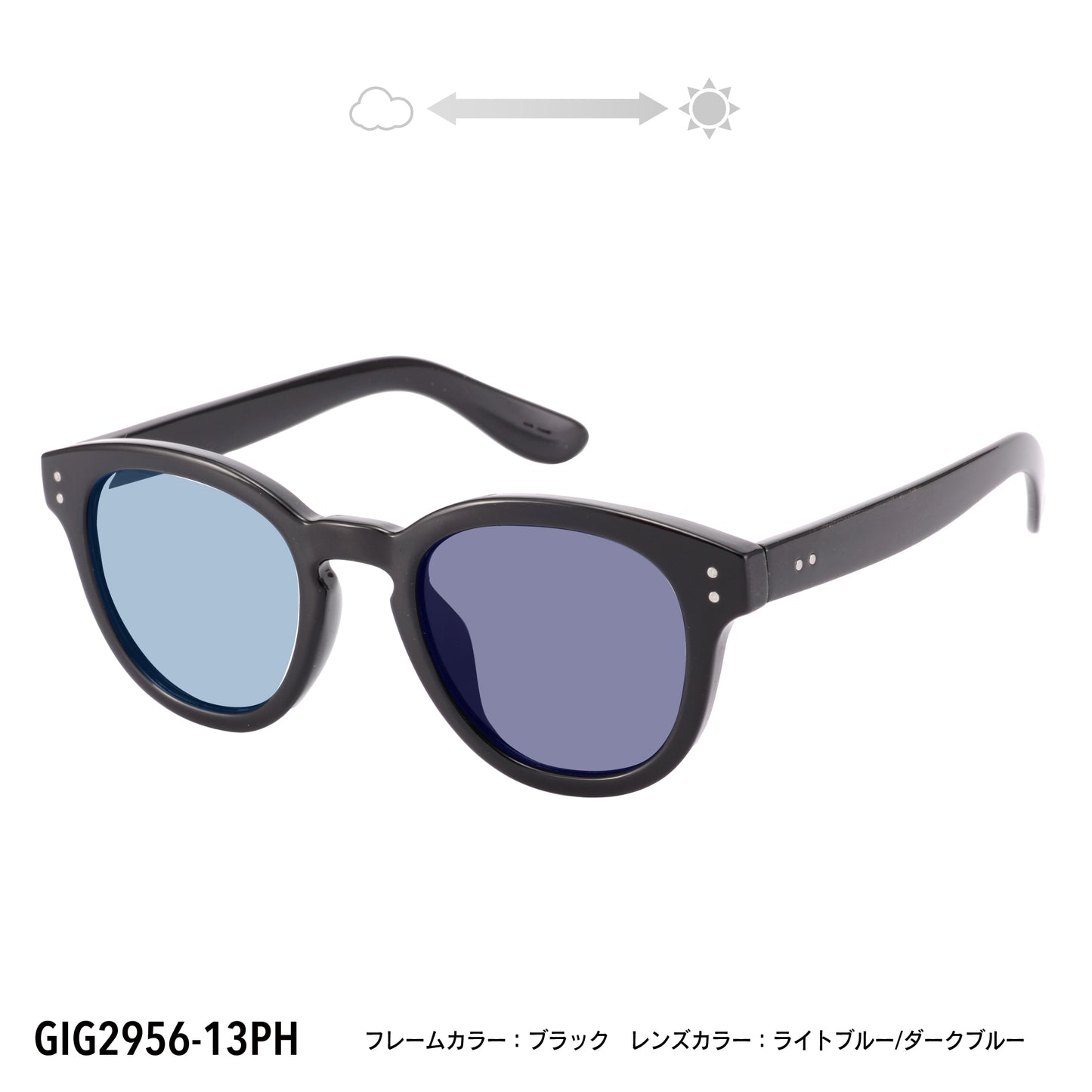 GIG2956-11PH/13PH(調光偏光機能付き)