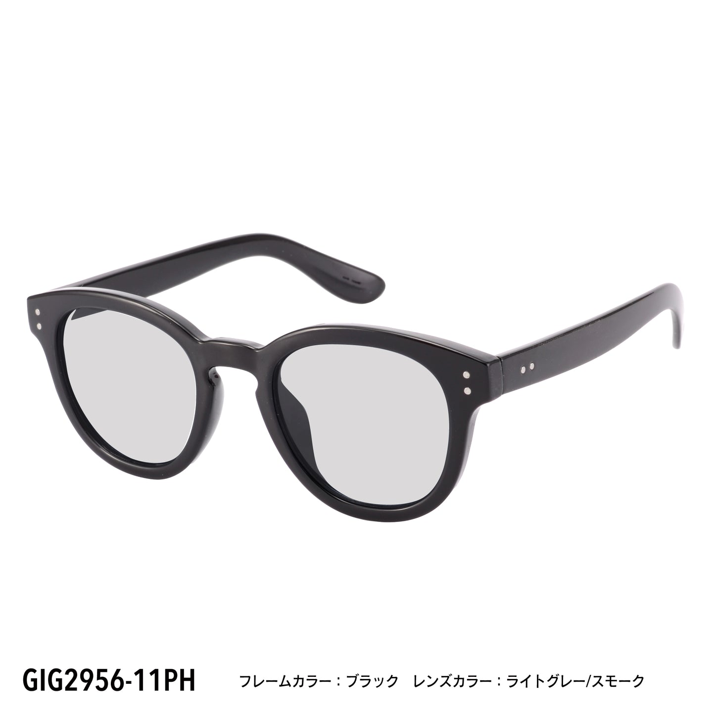 GIG2956-11PH/13PH(調光偏光機能付き)