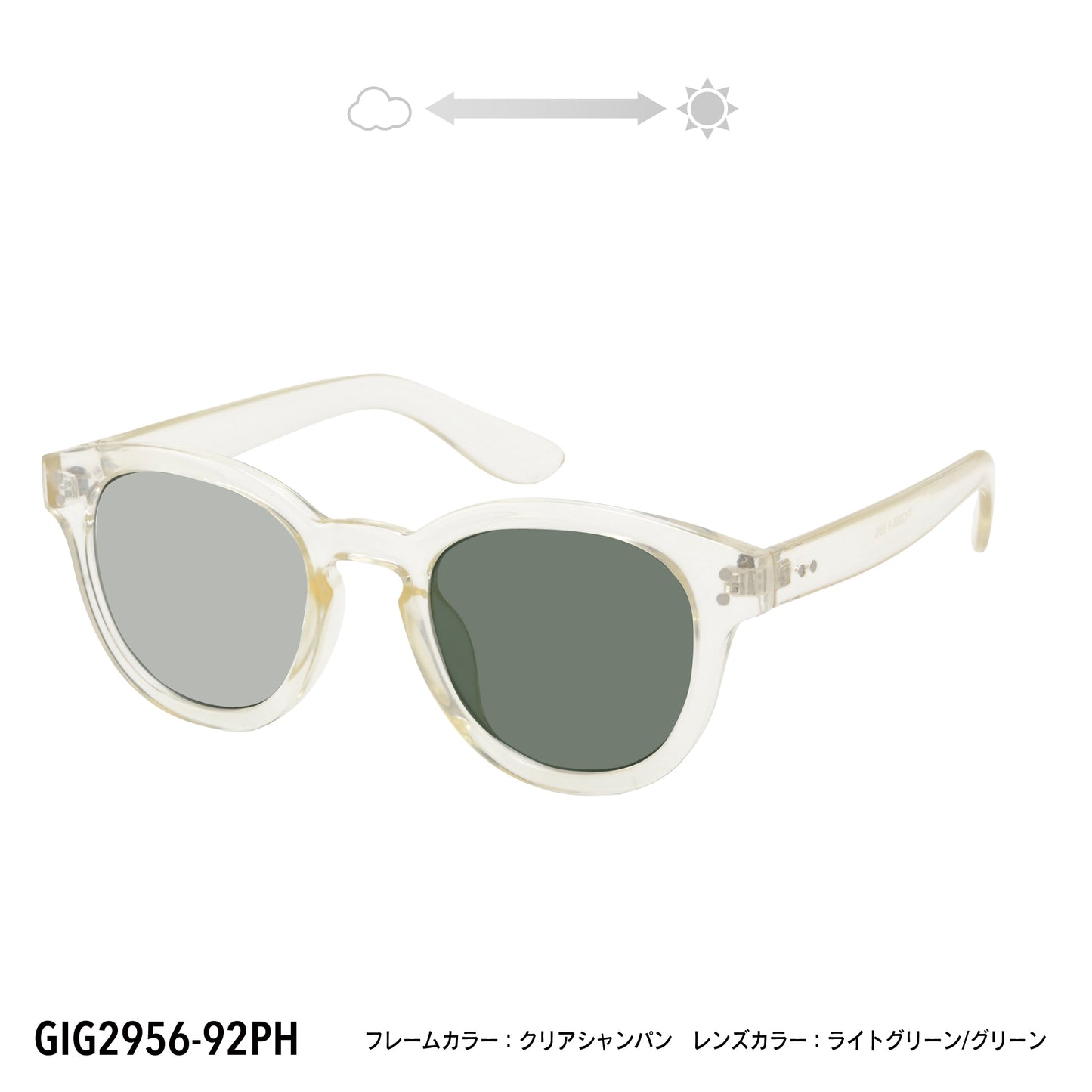 GIG2956-92PH/95PH(調光偏光機能付き)