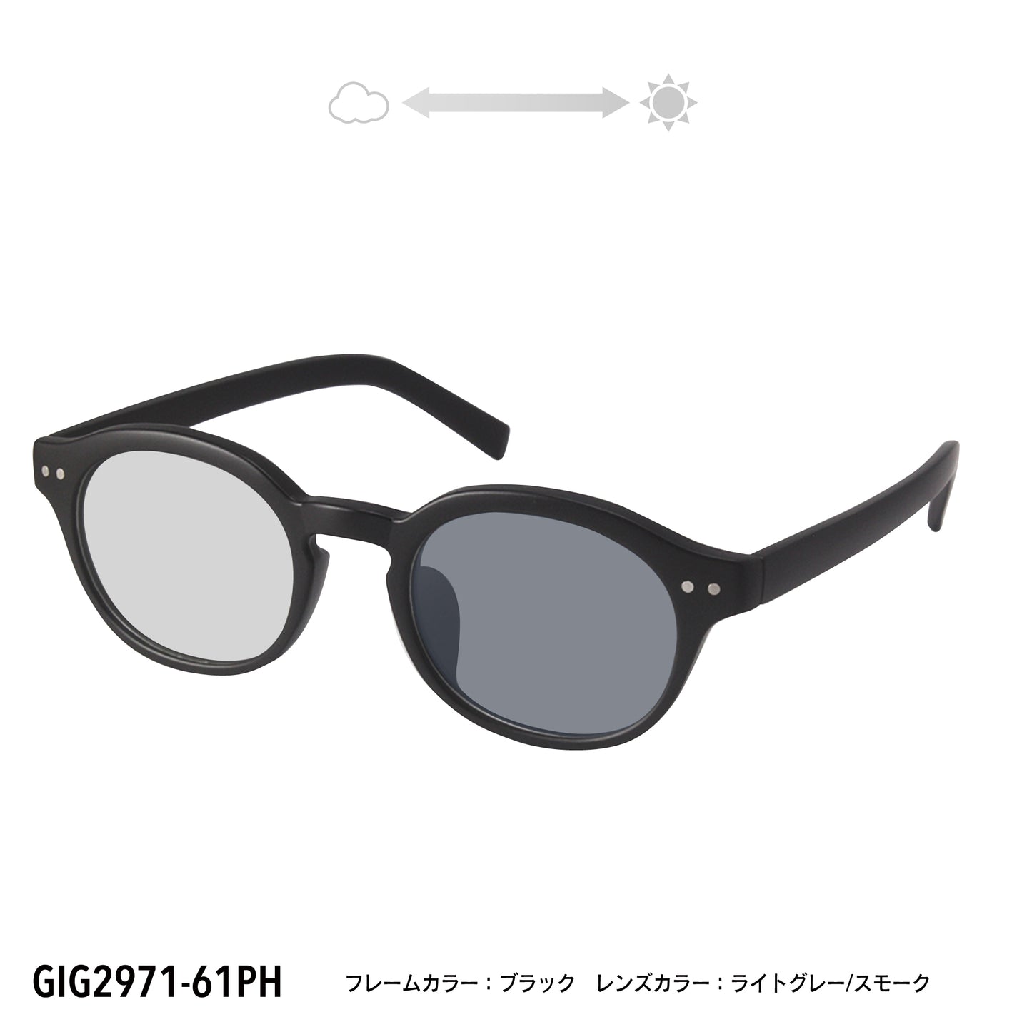 GIG2971-61PH/63PH(調光偏光機能付き)