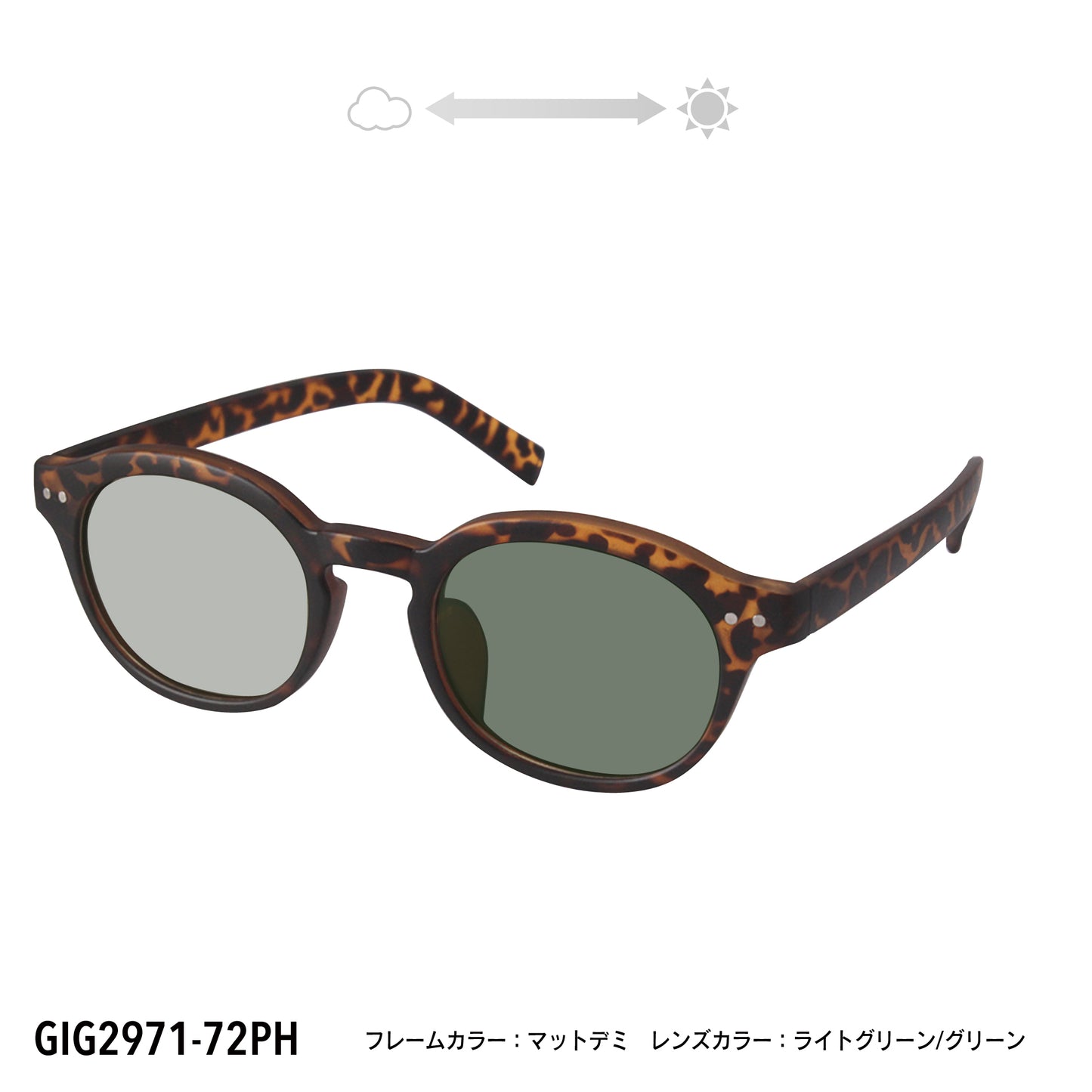 GIG2971-72PH/75PH(調光偏光機能付き)