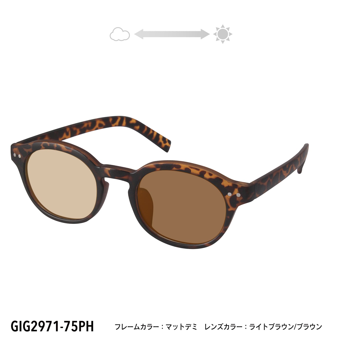 GIG2971-72PH/75PH(調光偏光機能付き)