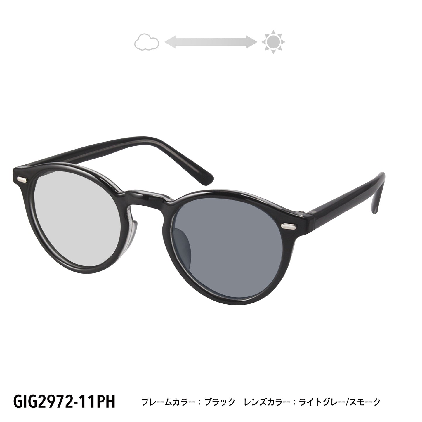 GIG2972-11PH/12PH(調光偏光機能付き)