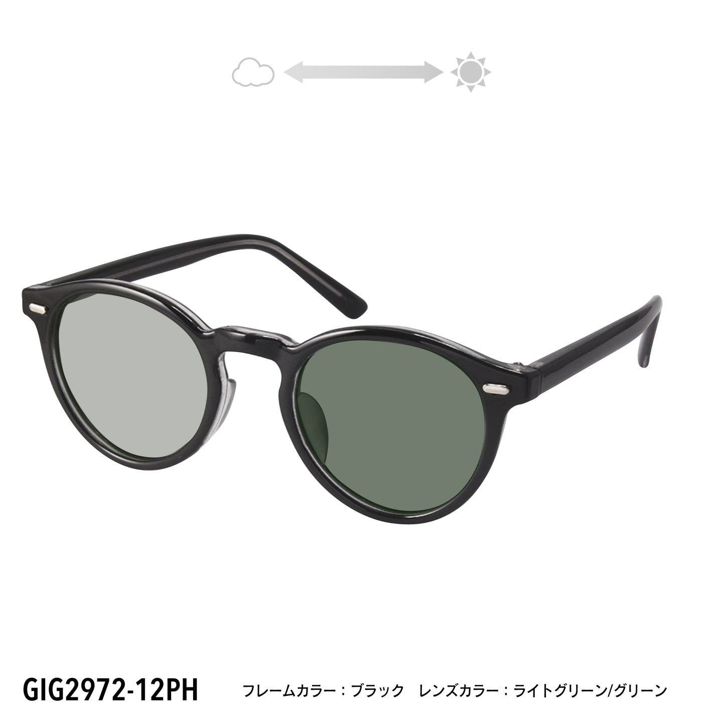 GIG2972-11PH/12PH(調光偏光機能付き)