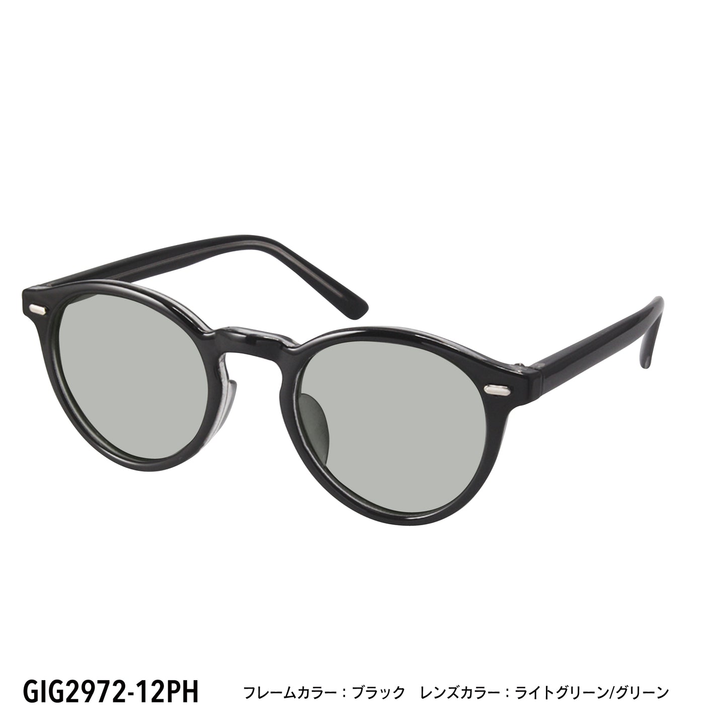 GIG2972-11PH/12PH(調光偏光機能付き)