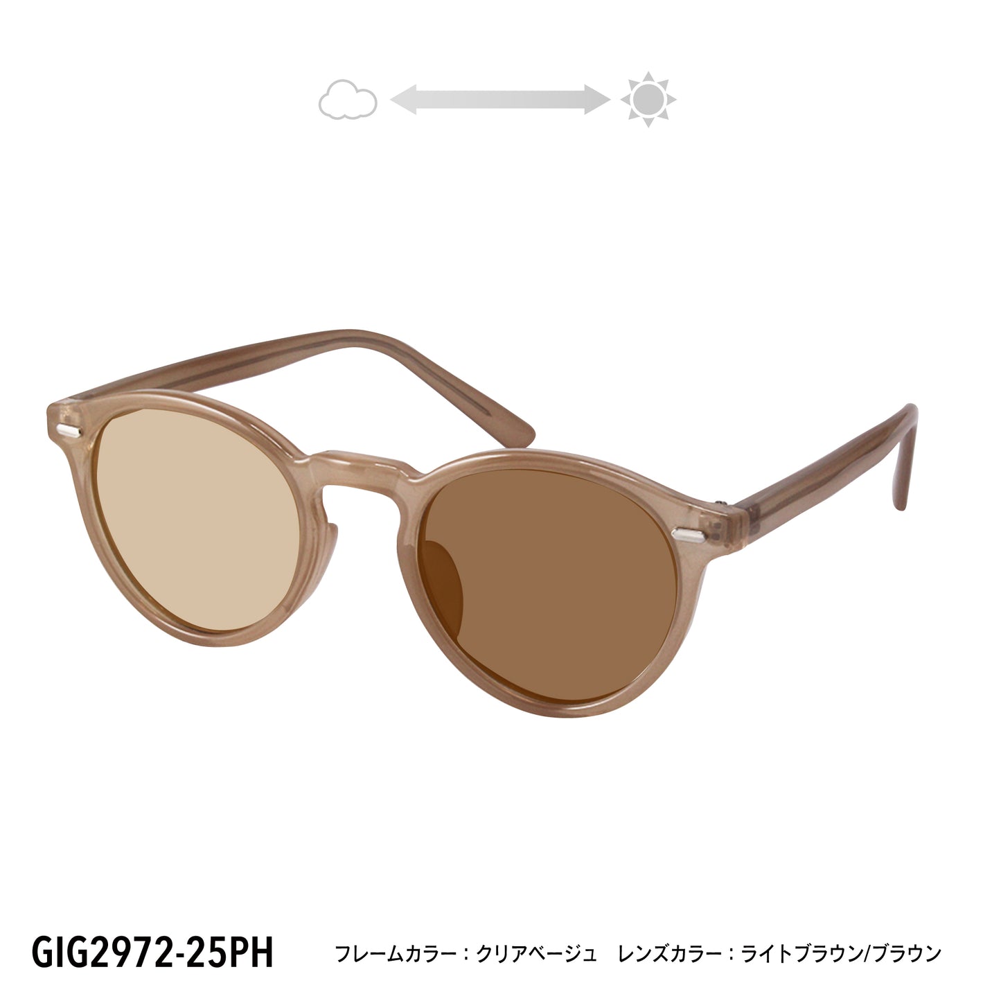 GIG2972-25PH/92PH(調光偏光機能付き)
