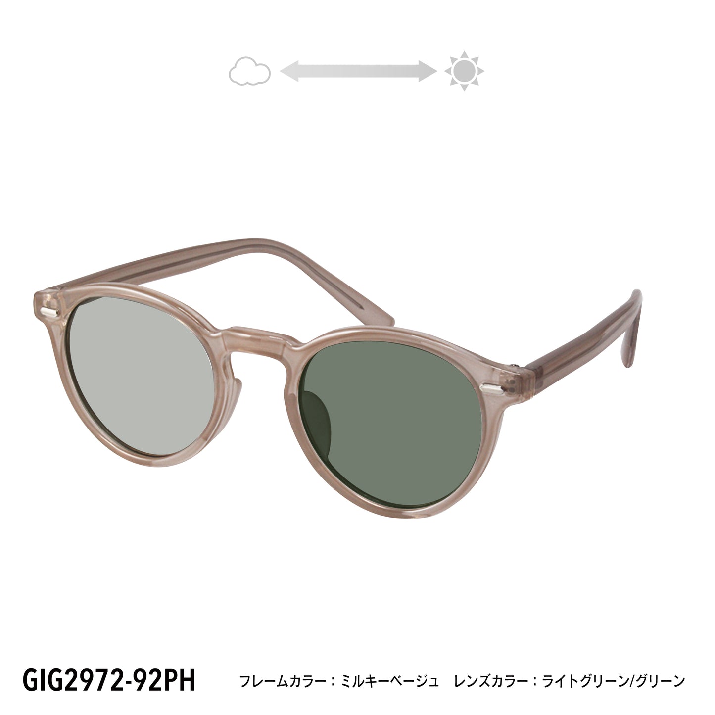 GIG2972-25PH/92PH(調光偏光機能付き)