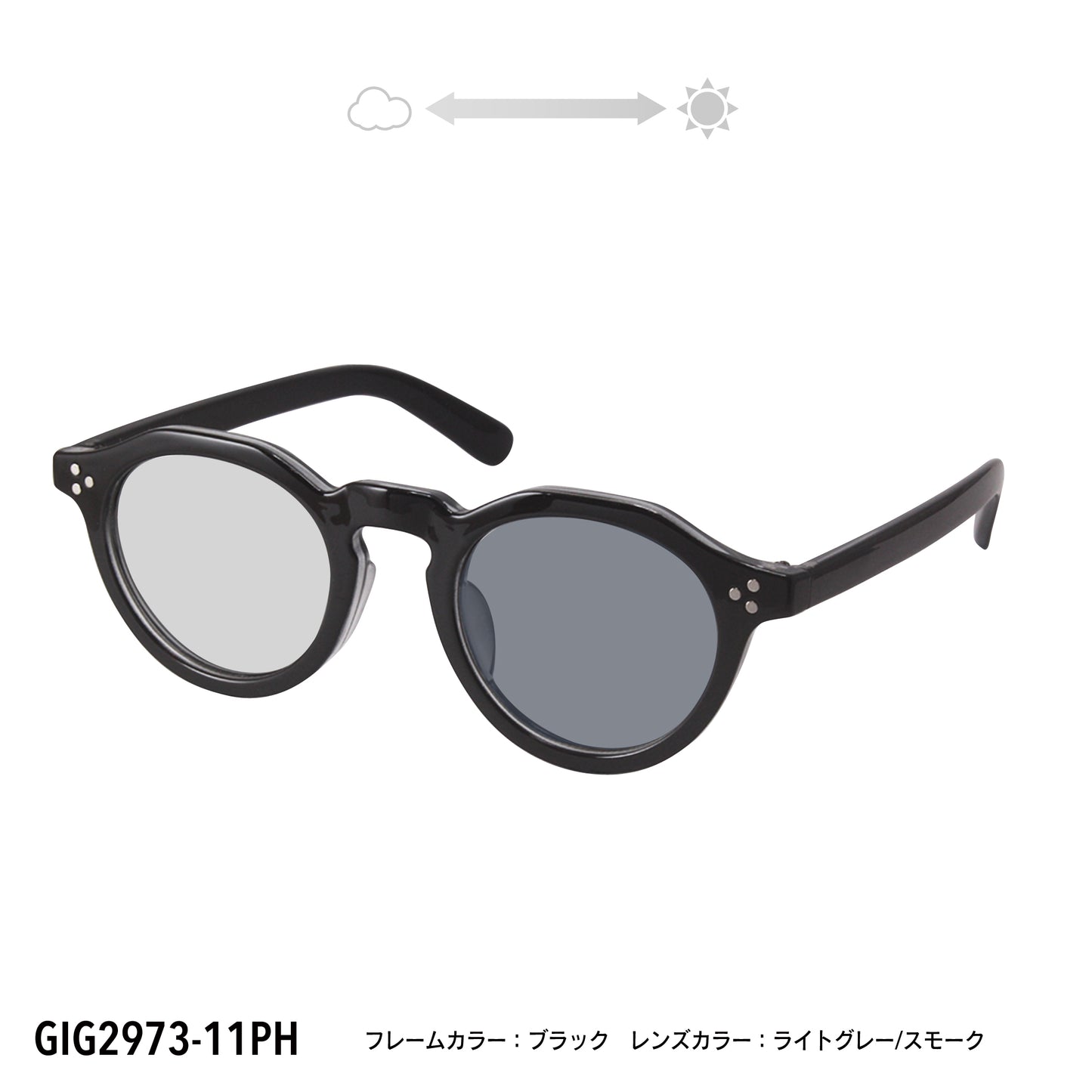 GIG2973-11PH/12PH(調光偏光機能付き)