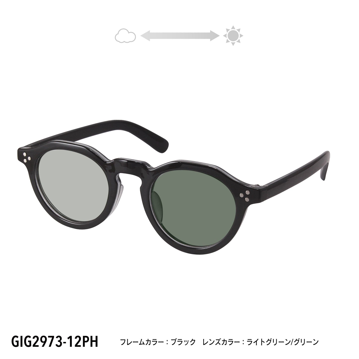 GIG2973-11PH/12PH(調光偏光機能付き)