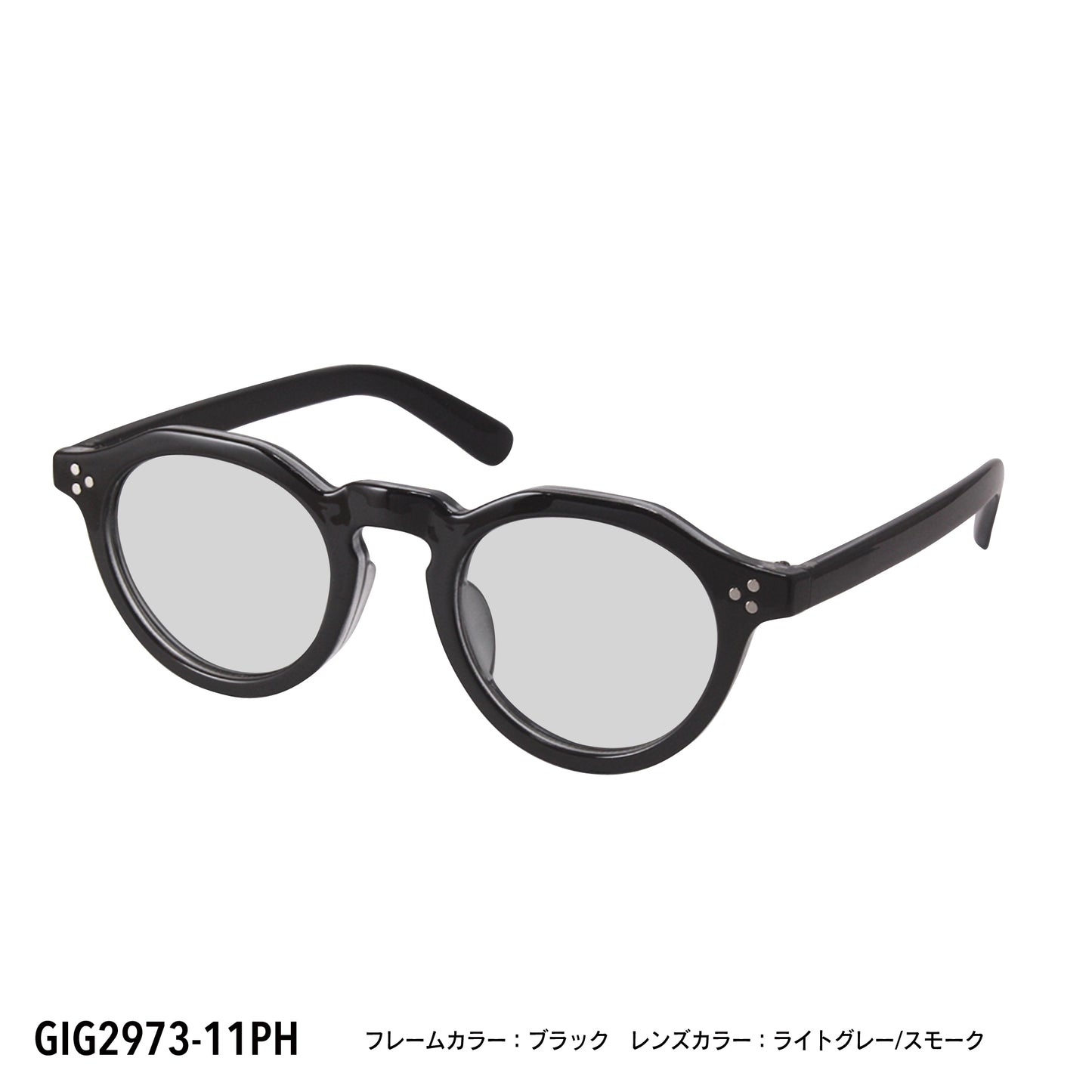 GIG2973-11PH/12PH(調光偏光機能付き)