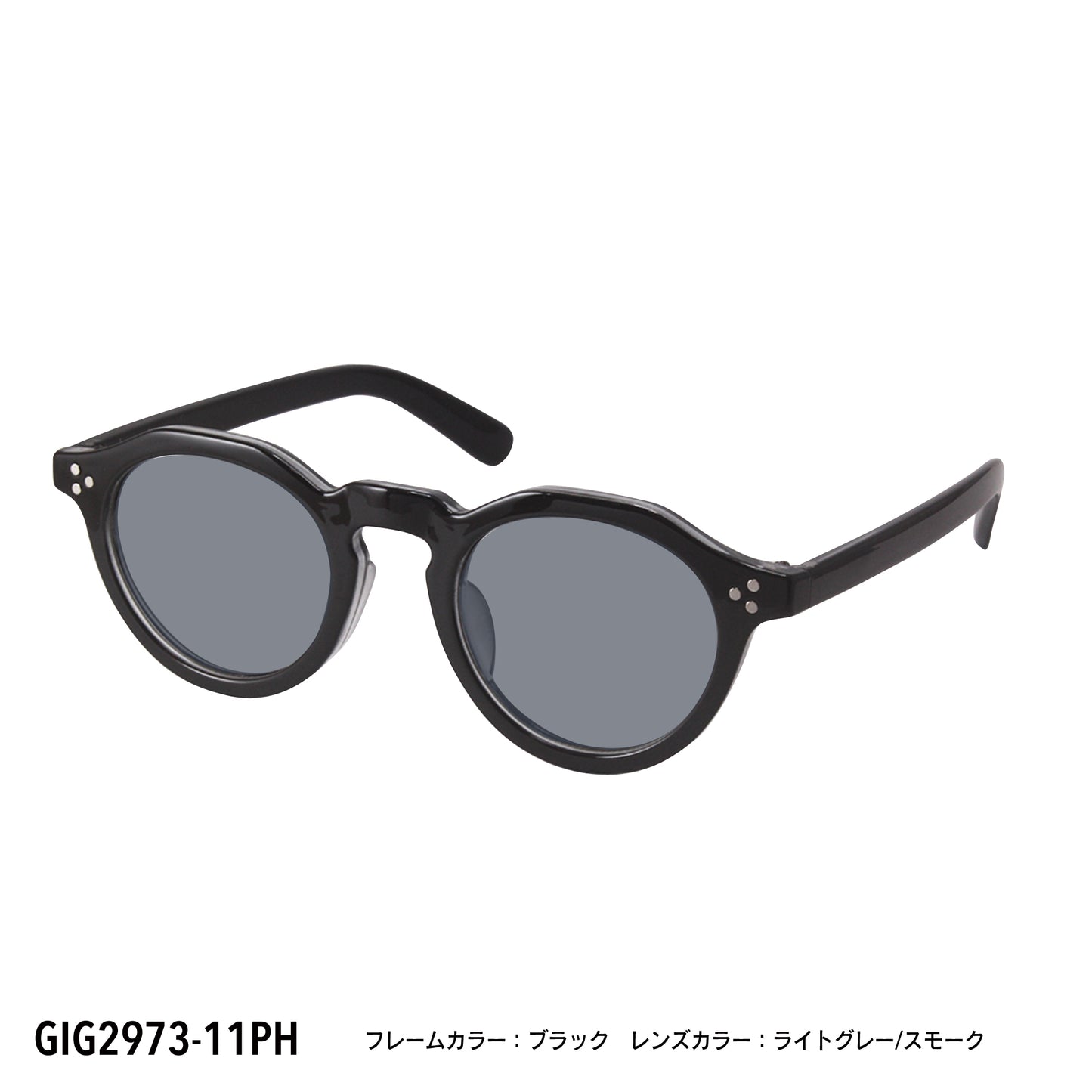 GIG2973-11PH/12PH(調光偏光機能付き)