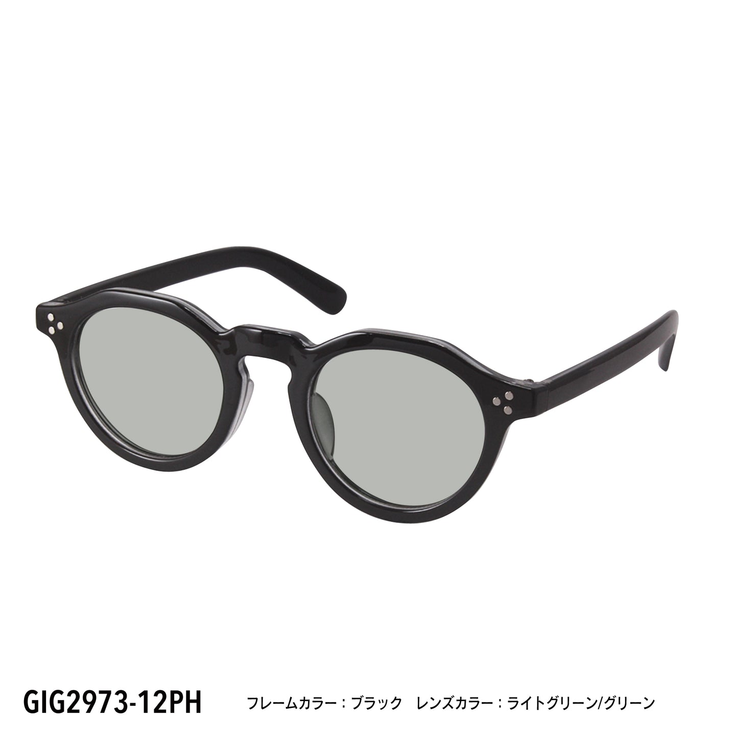 GIG2973-11PH/12PH(調光偏光機能付き)