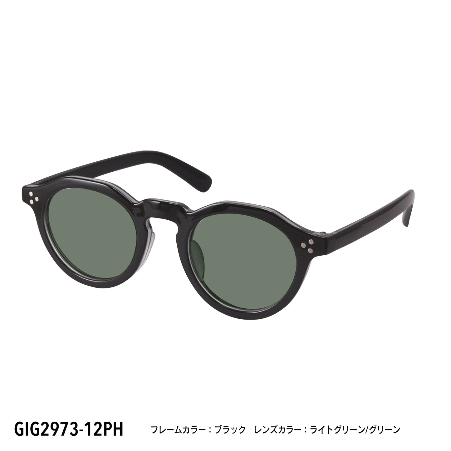 GIG2973-11PH/12PH(調光偏光機能付き)