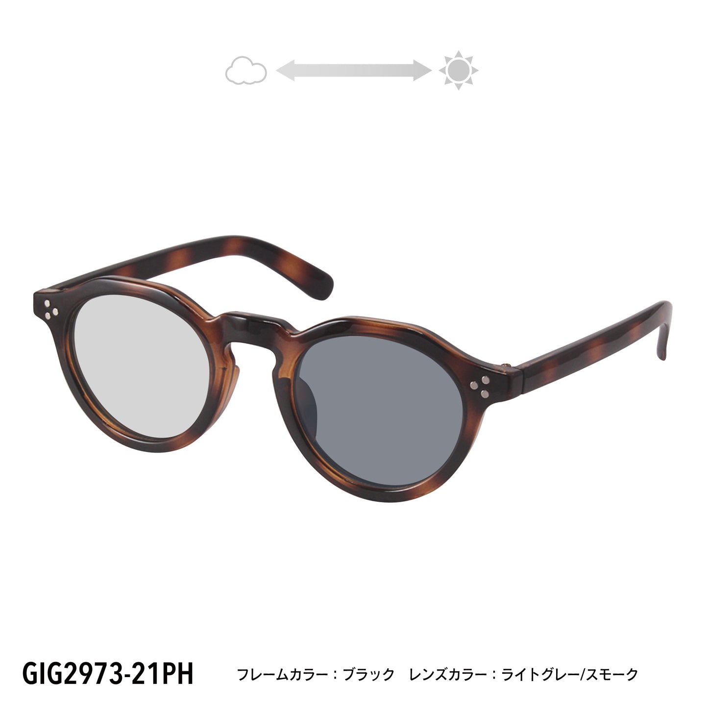 GIG2973-21PH/22PH(調光偏光機能付き)