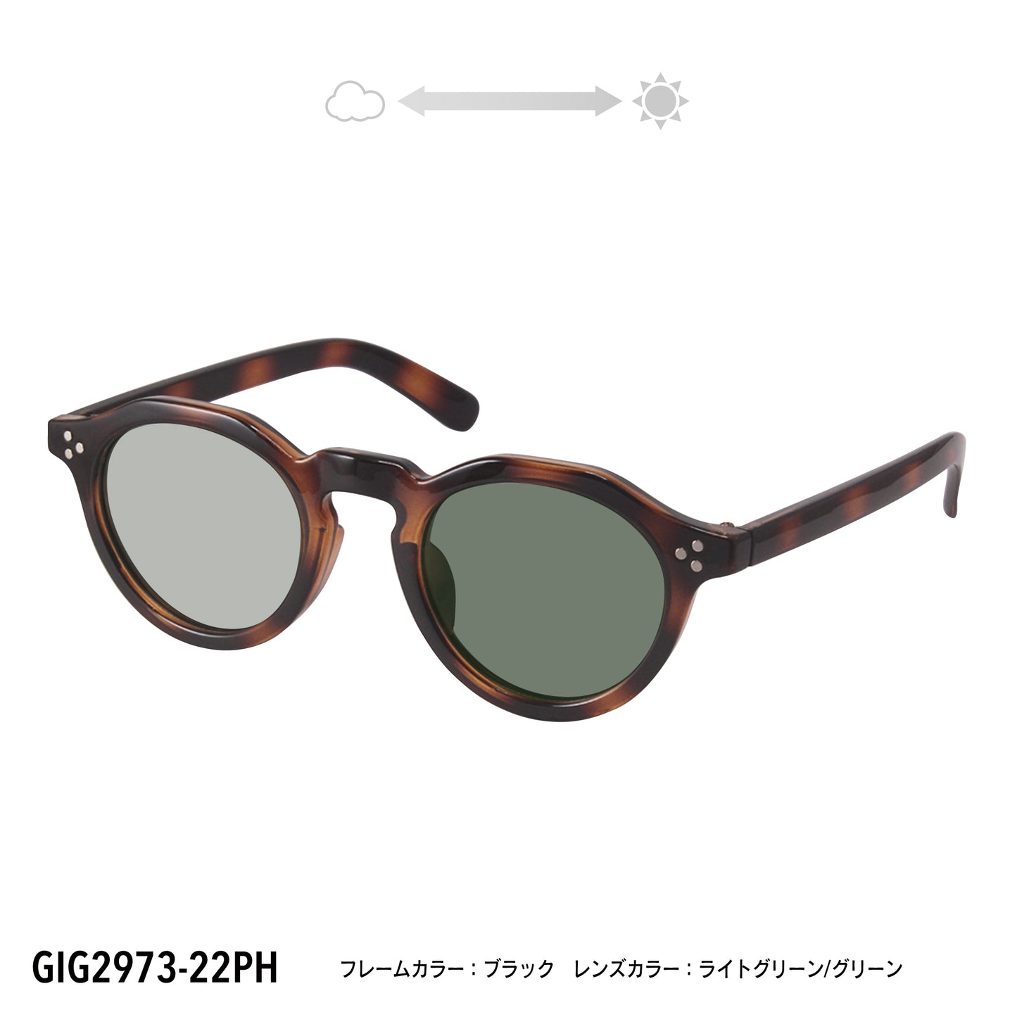 GIG2973-21PH/22PH(調光偏光機能付き)