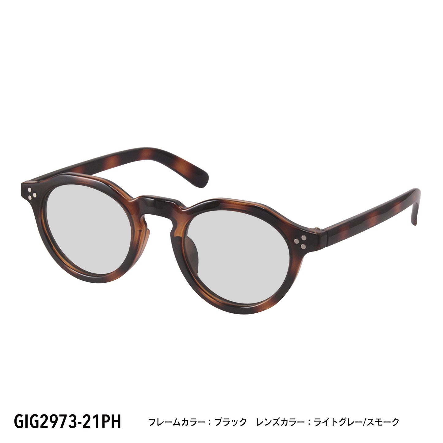 GIG2973-21PH/22PH(調光偏光機能付き)