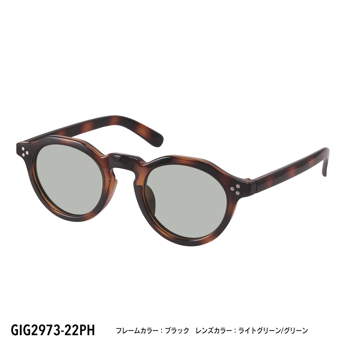 GIG2973-21PH/22PH(調光偏光機能付き)