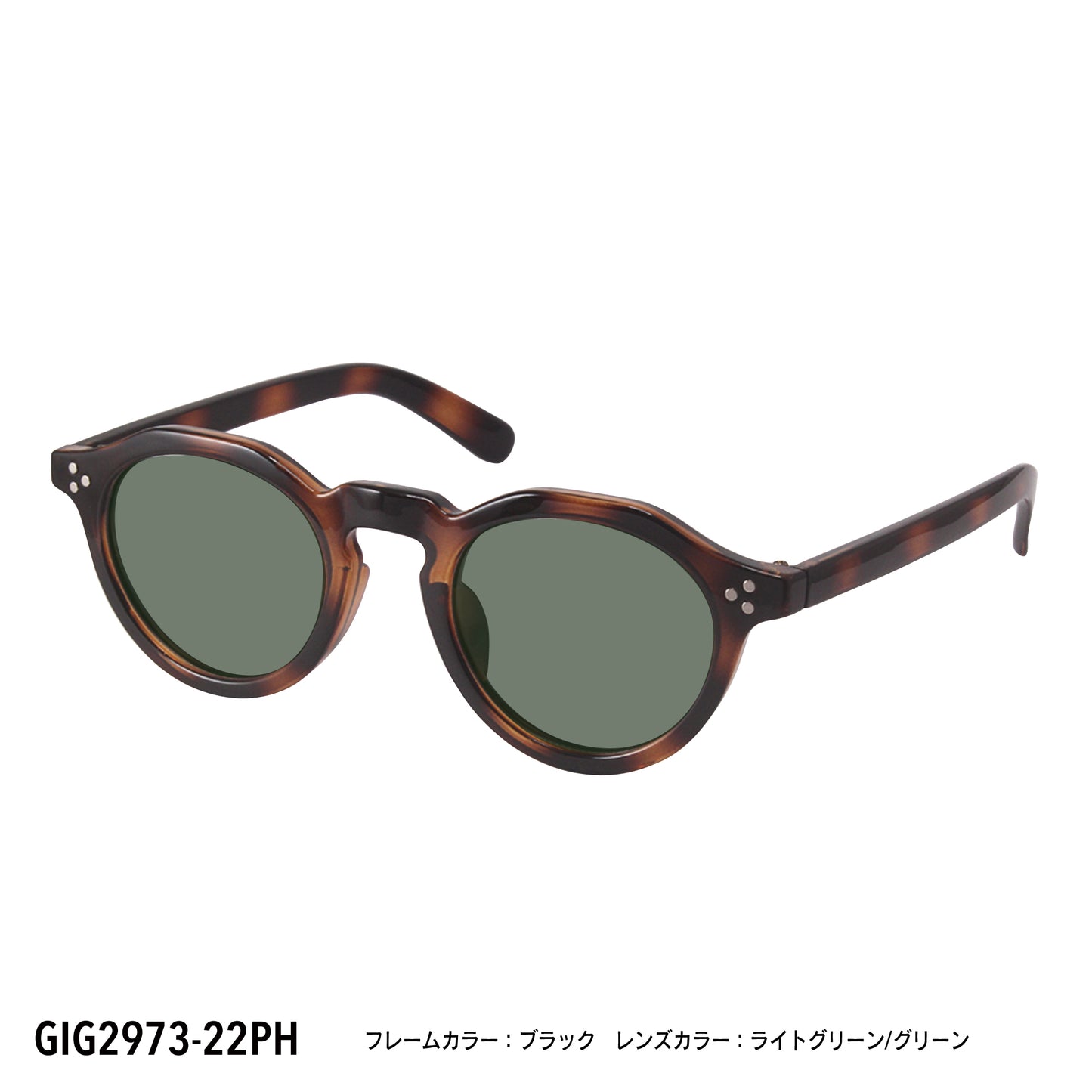 GIG2973-21PH/22PH(調光偏光機能付き)