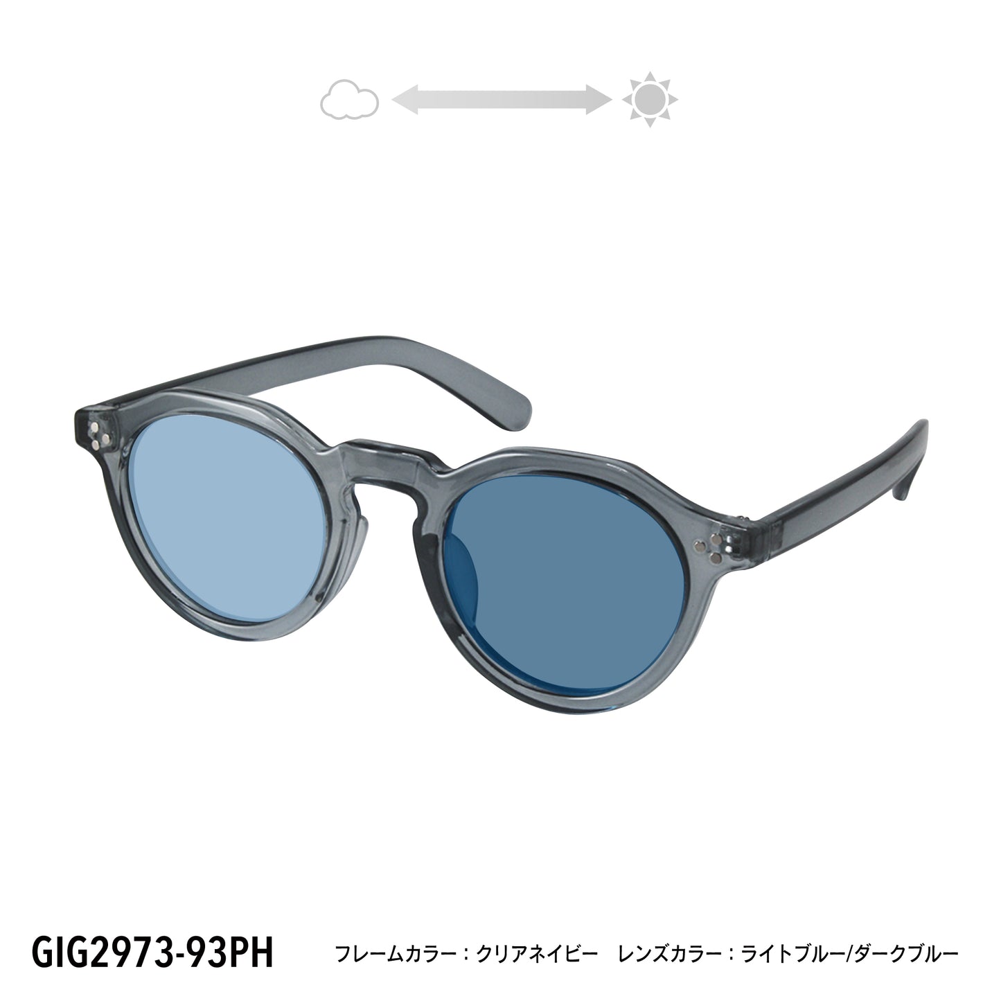 GIG2973-65PH/93PH(調光偏光機能付き)