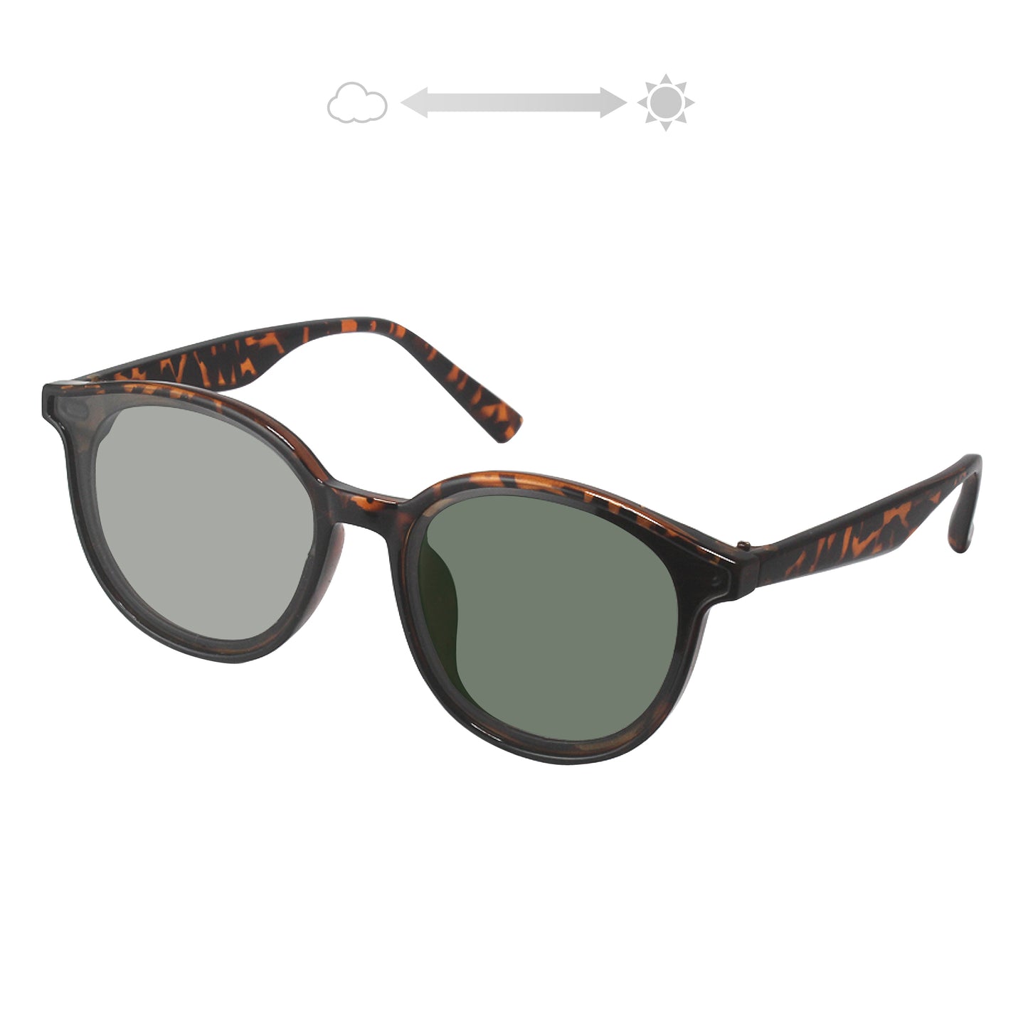 SS7420-11CH/22CH(調光偏光機能付き)