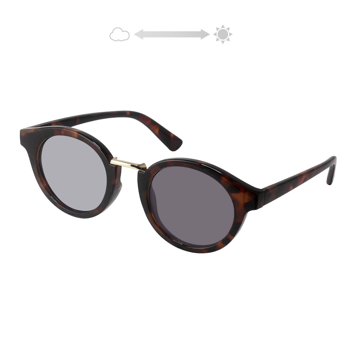 SS7730-11CH/21CH(調光偏光機能付き)