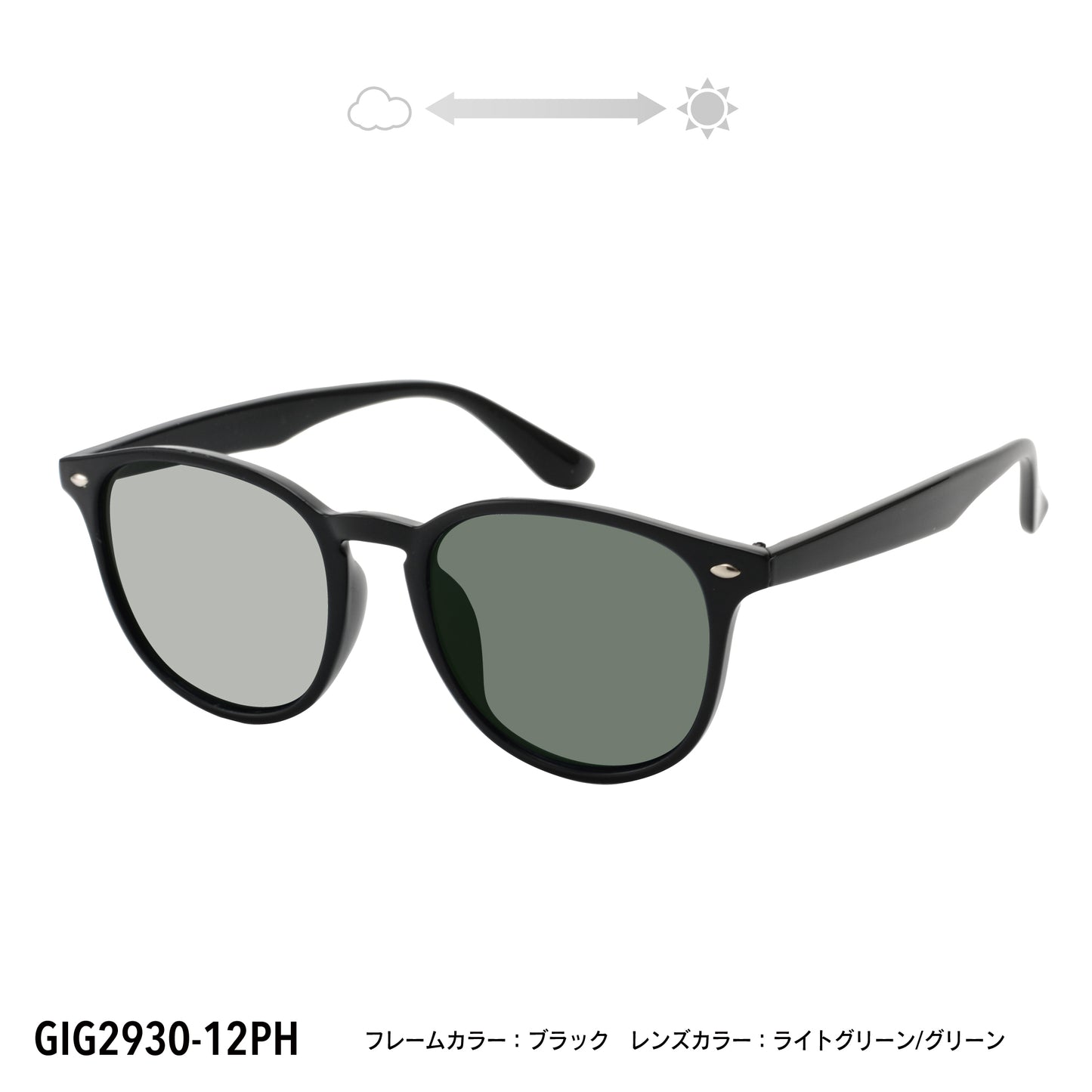 GIG2930-12PH/15PH(調光偏光機能付き)