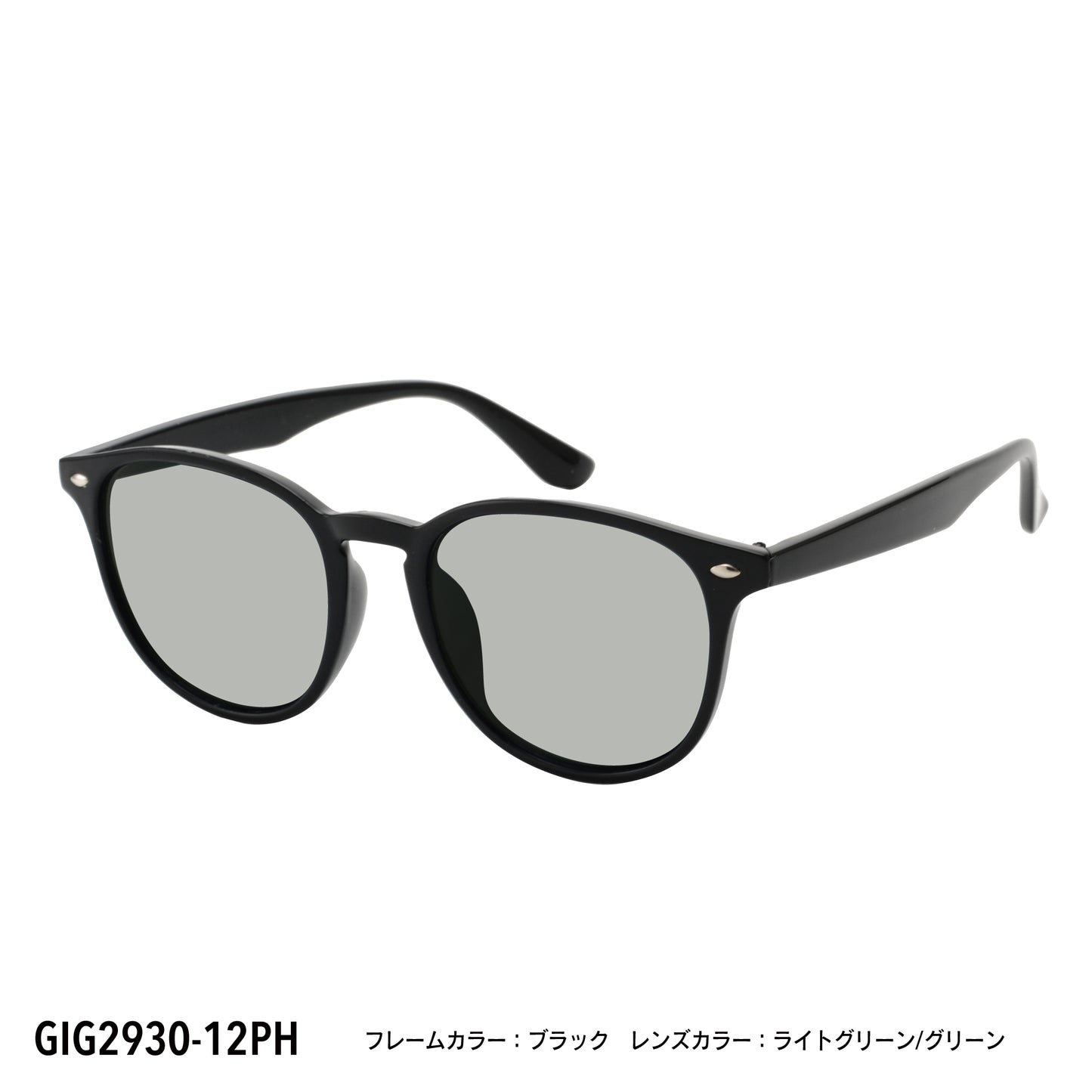 GIG2930-12PH/15PH(調光偏光機能付き)