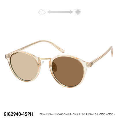 GIG2940-42PH/45PH(調光偏光機能付き)