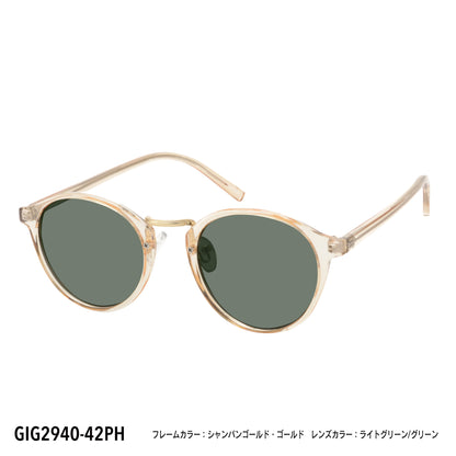 GIG2940-42PH/45PH(調光偏光機能付き)