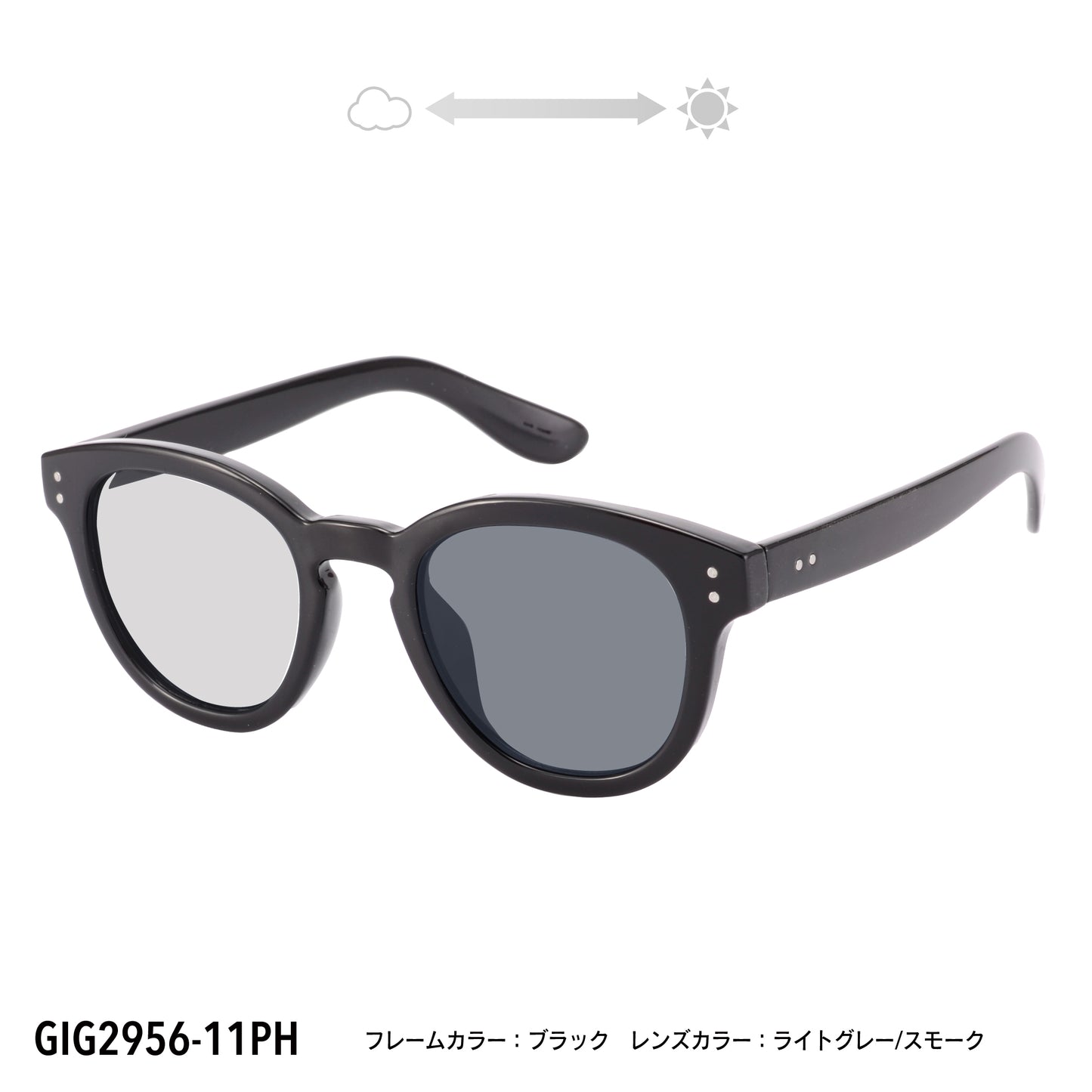 GIG2956-11PH/13PH(調光偏光機能付き)