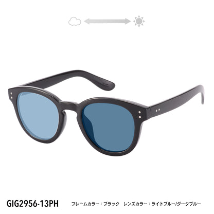 GIG2956-11PH/13PH(調光偏光機能付き)