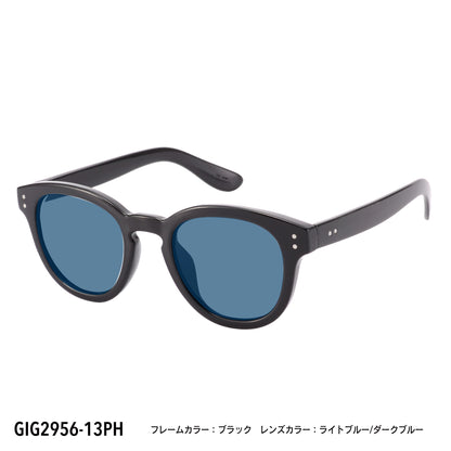 GIG2956-11PH/13PH(調光偏光機能付き)