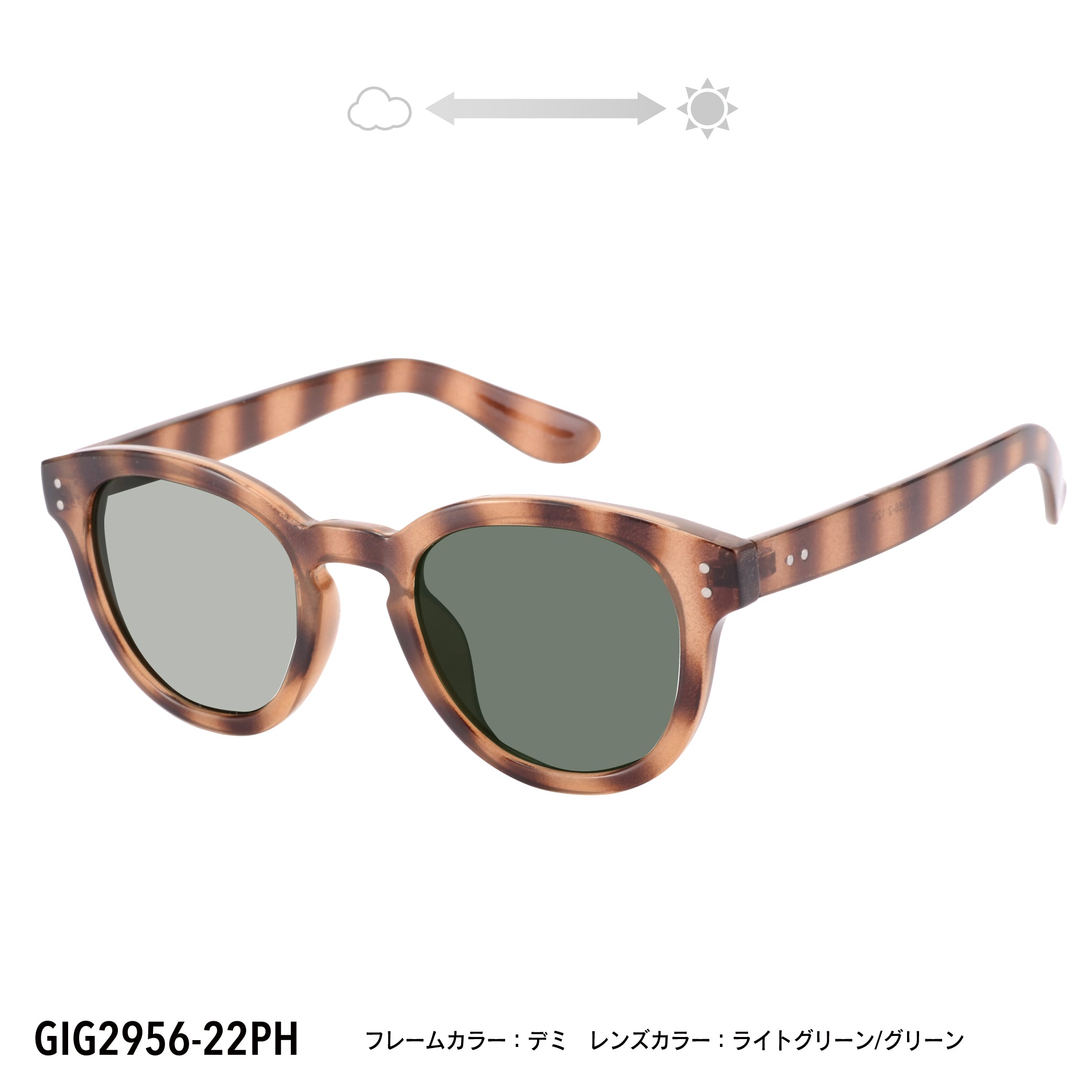 GIG2956-22PH/25PH(調光偏光機能付き) – GOOD IS GOOD SHONAN