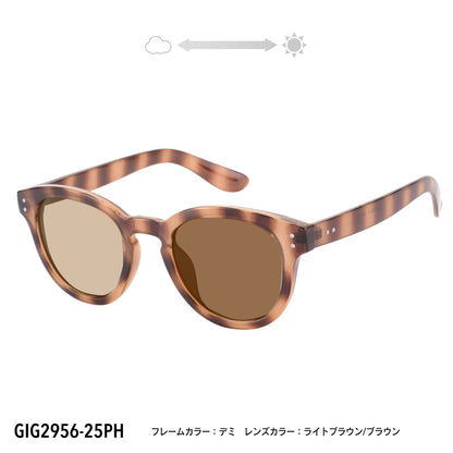GIG2956-22PH/25PH(調光偏光機能付き)