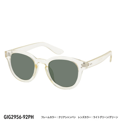 GIG2956-92PH/95PH(調光偏光機能付き)
