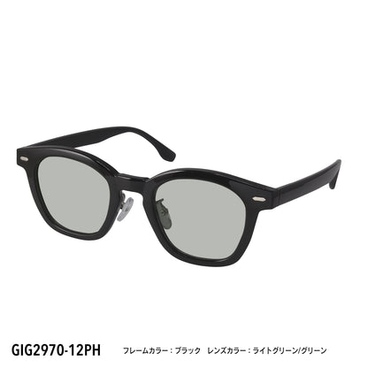 GIG2970-12PH/15PH(調光偏光機能付き)