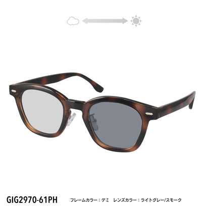 GIG2970-61PH/63PH(調光偏光機能付き)