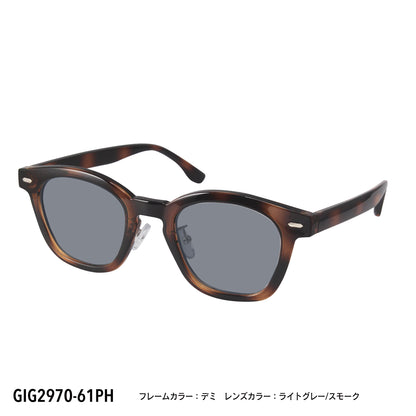 GIG2970-61PH/63PH(調光偏光機能付き)