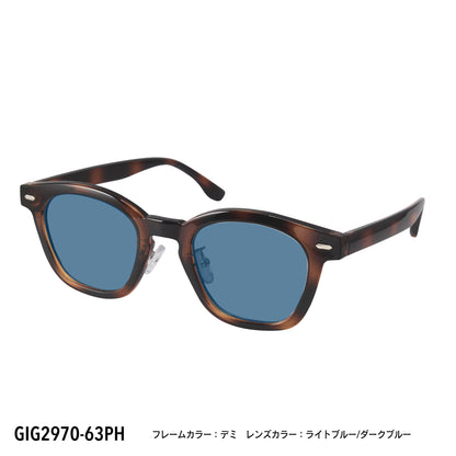 GIG2970-61PH/63PH(調光偏光機能付き)