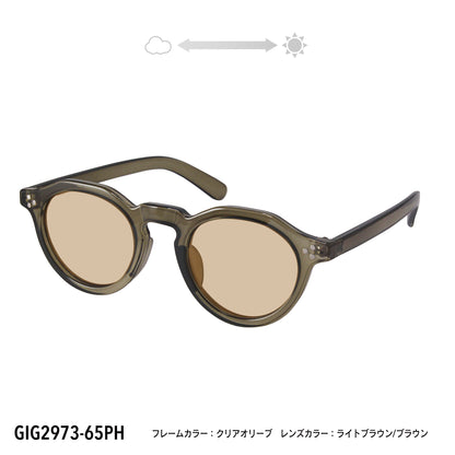 GIG2973-65PH/93PH(調光偏光機能付き)