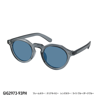GIG2973-65PH/93PH(調光偏光機能付き)