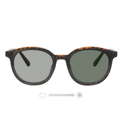 SS7420-11CH/22CH(調光偏光機能付き)