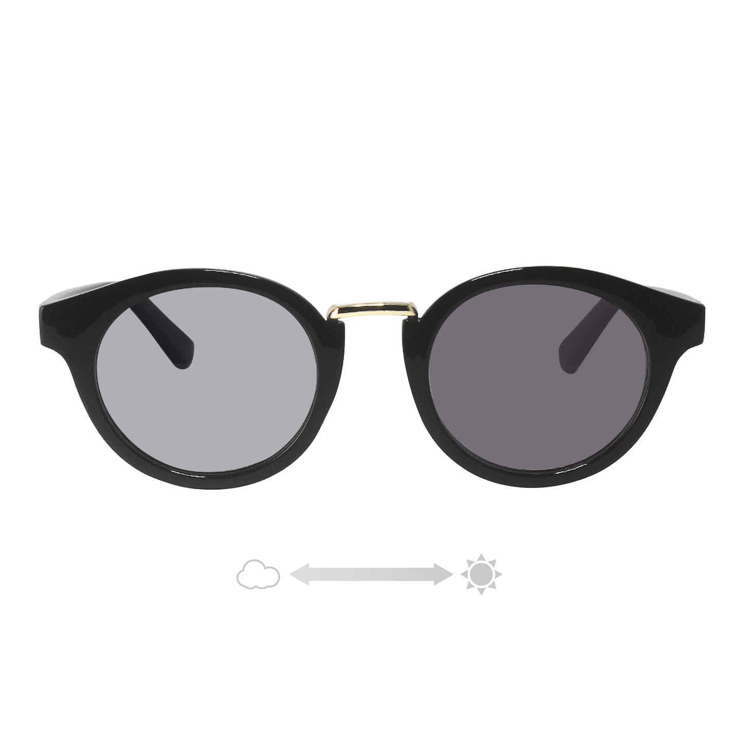 SS7730-11CH/21CH(調光偏光機能付き)