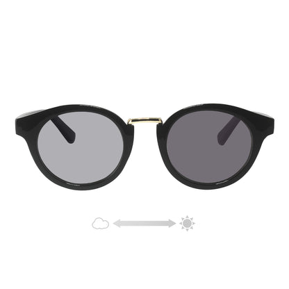 SS7730-11CH/21CH(調光偏光機能付き)