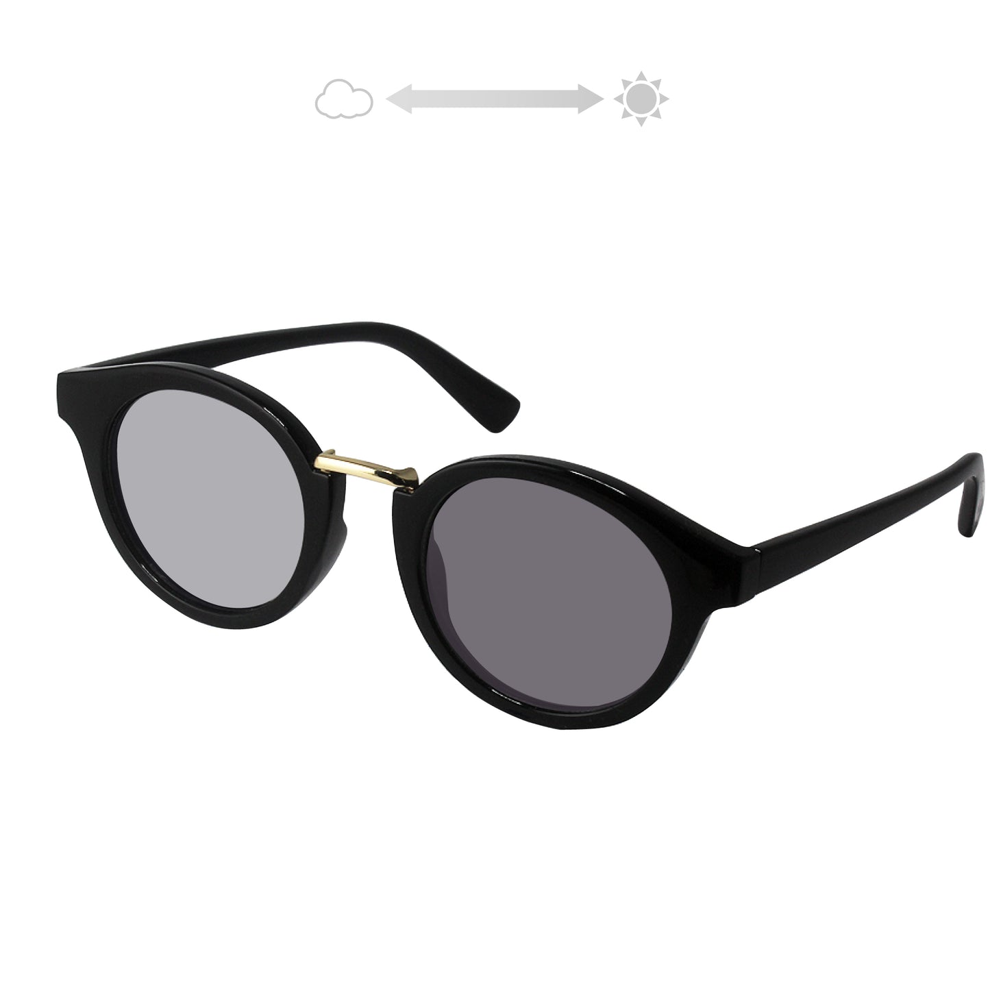 SS7730-11CH/21CH(調光偏光機能付き)