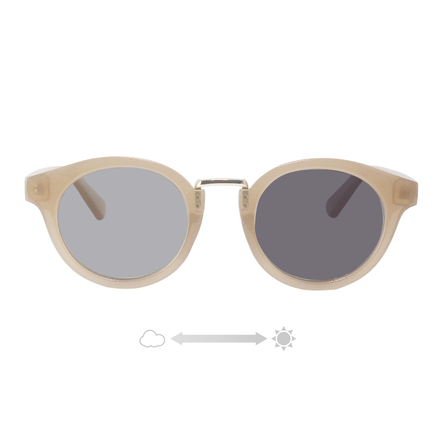 SS7730-31CH/41CH/51CH/61CH(調光偏光機能付き)