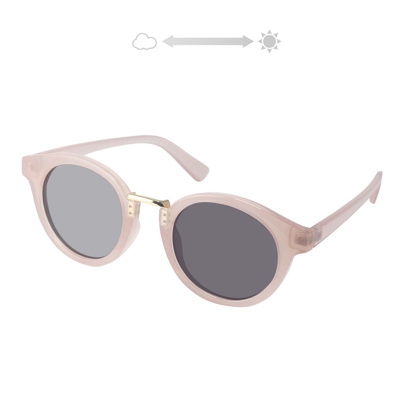 SS7730-31CH/41CH/51CH/61CH(調光偏光機能付き)