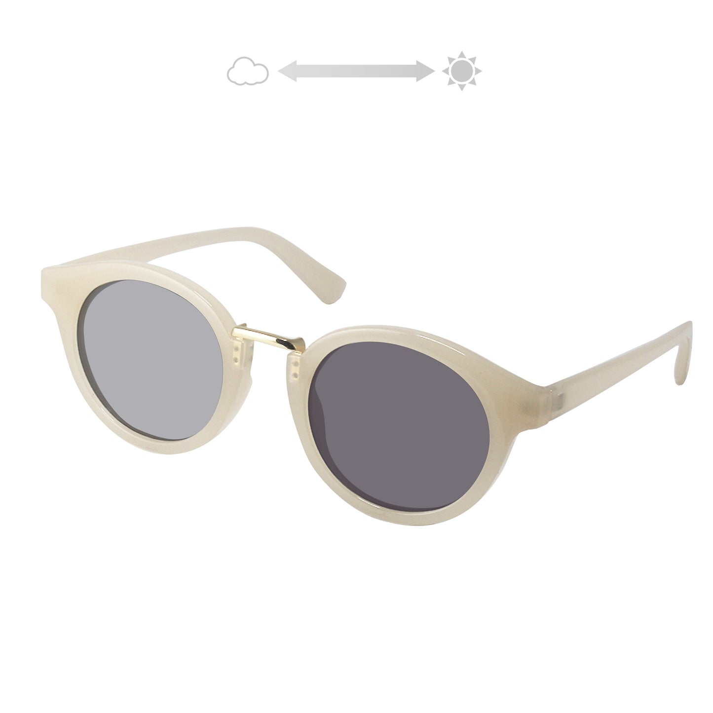 SS7730-31CH/41CH/51CH/61CH(調光偏光機能付き)